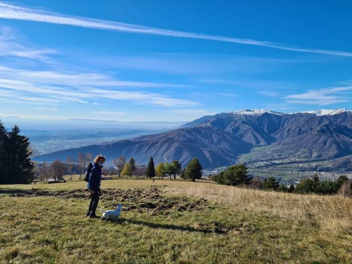 Sentiero dell’acquedotto e delle prese — Punto di interesse a Treviso, Treviso