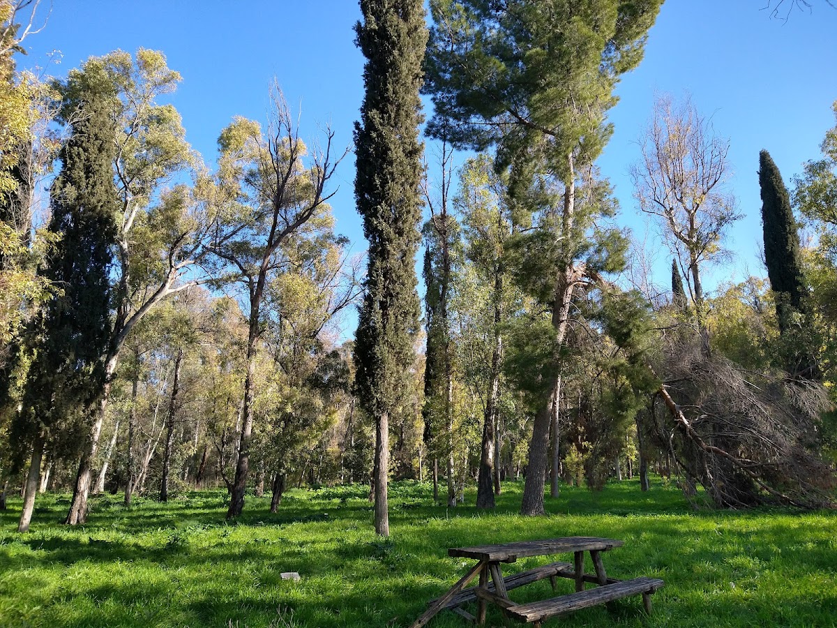 Parco Naturale Regionale Bosco Incoronata di Foggia — Punto di interesse a Foggia, Foggia