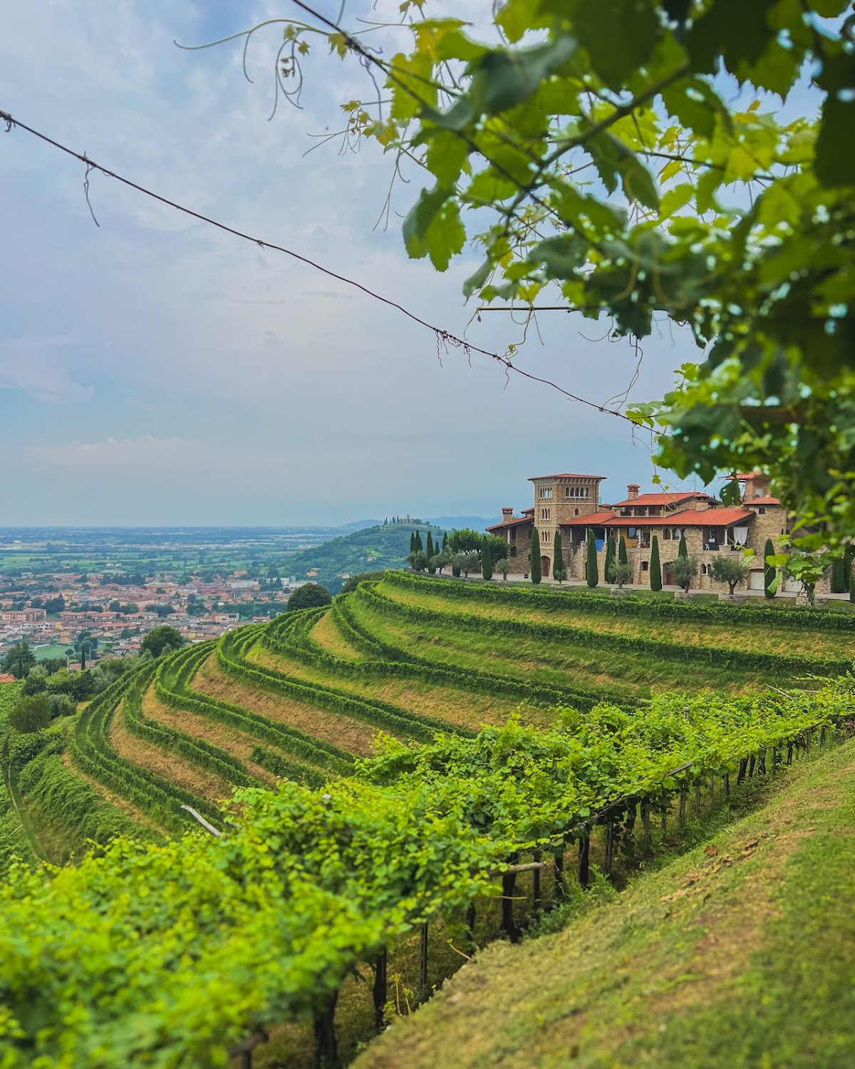 Le Cantorie Cantina in Franciacorta — Punto di interesse a Brescia, Brescia