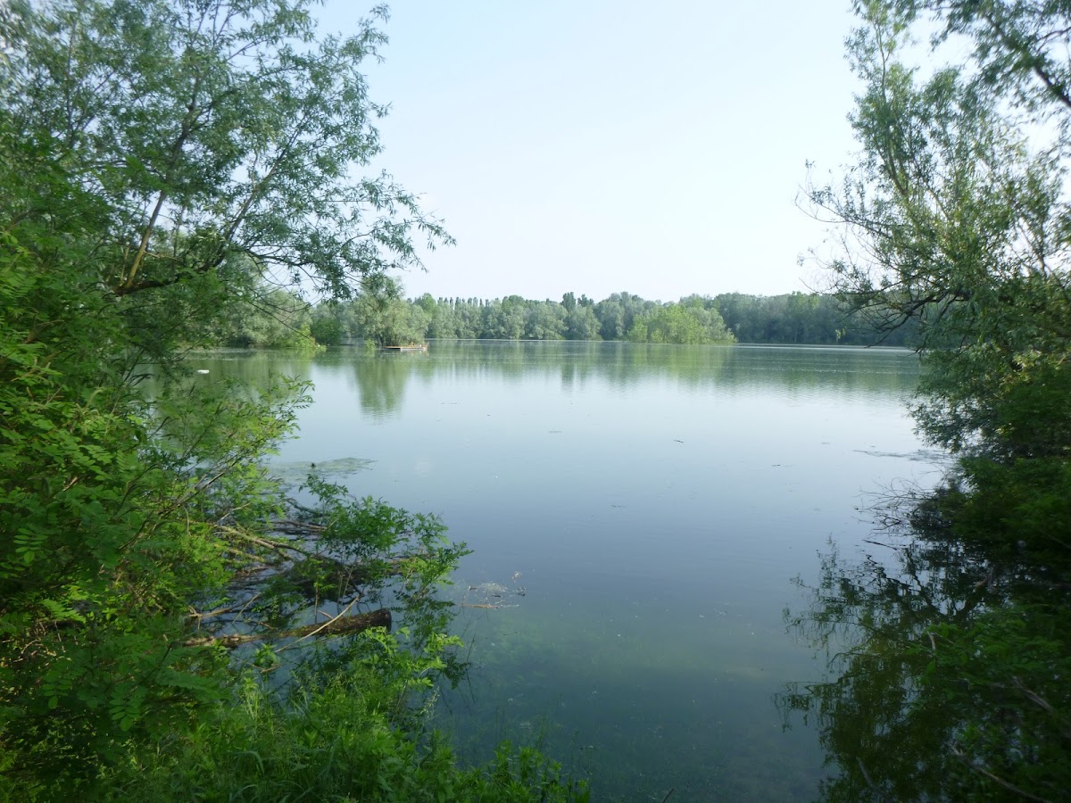 Parco Isola Giarola — Punto di interesse a Piacenza, Piacenza