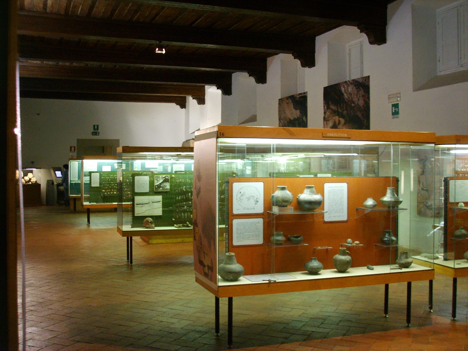 Museo fiorentino di preistoria "Paolo Graziosi" — Punto di interesse a Firenze, Firenze