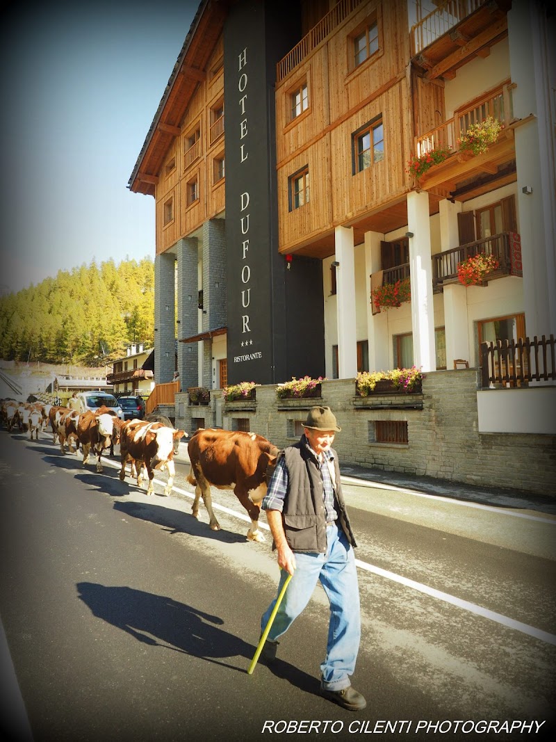 Hotel Dufour