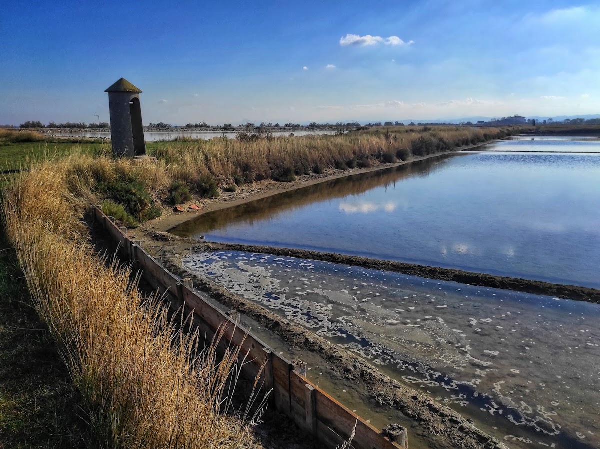 Riserva naturale Salina di Cervia — Punto di interesse a Rimini, Rimini