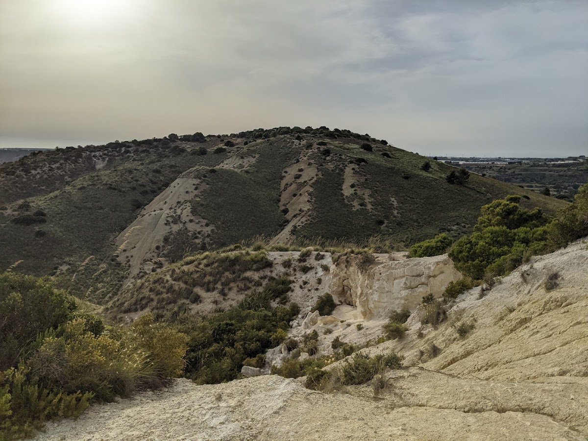 Riserva naturale orientata Pino d'Aleppo — Punto di interesse a Ragusa, Ragusa