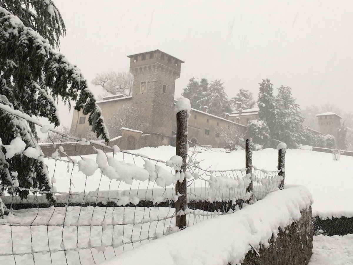castello di Frascarolo — Punto di interesse , Torino