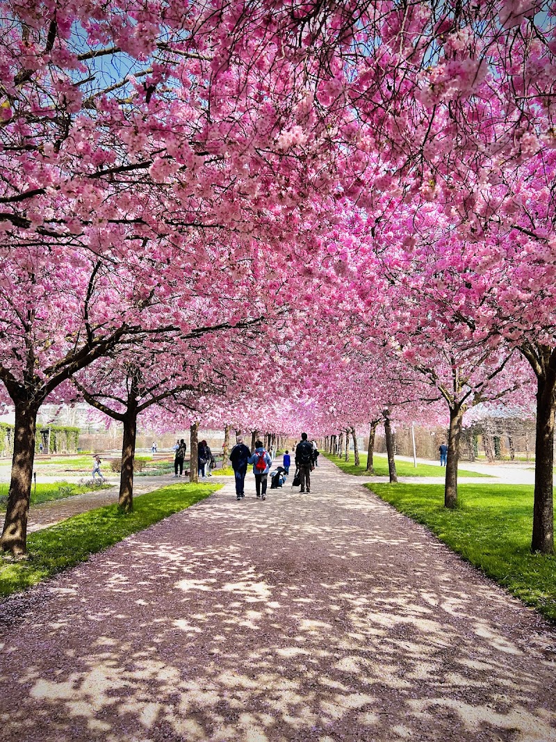 Giardini Reggia di Venaria