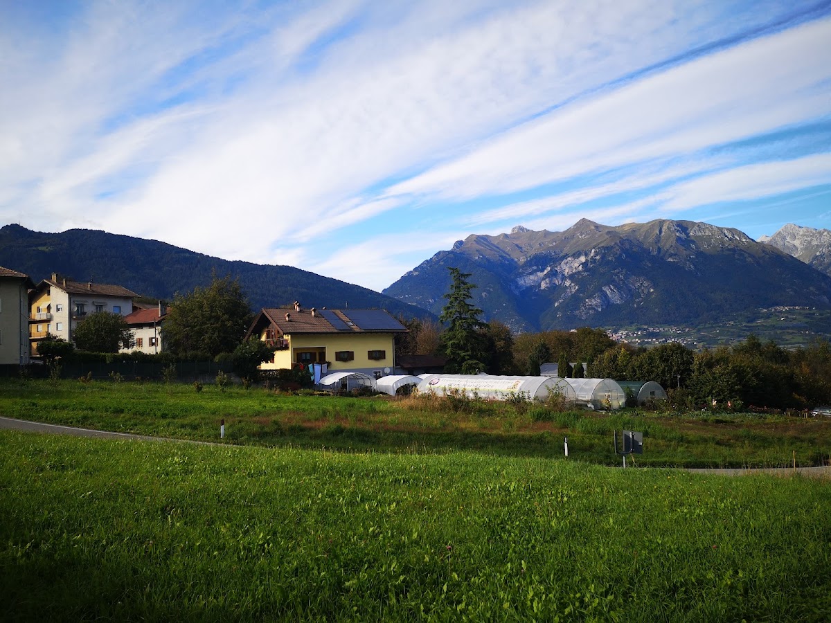 Azienda Agricola Cà de Mel — Punto di interesse a Trento, Trento