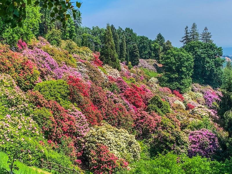 Parco Burcina Felice Piacenza