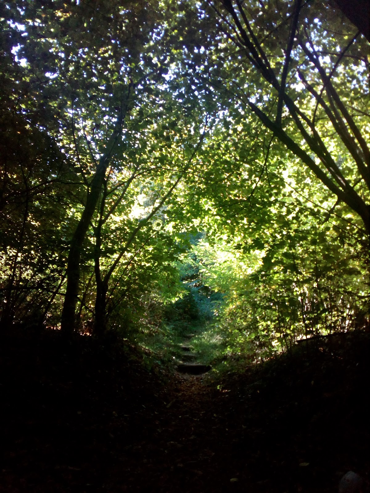 Parco Regionale Spina Verde di Como - Monte Olimpino — Punto di interesse a Como, Como