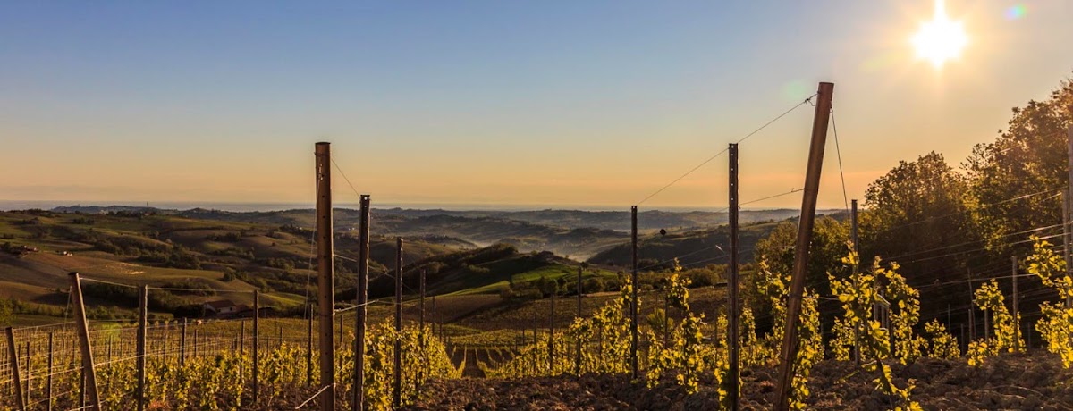 Ca' del Ge' Vini e Spumanti D.O.C.