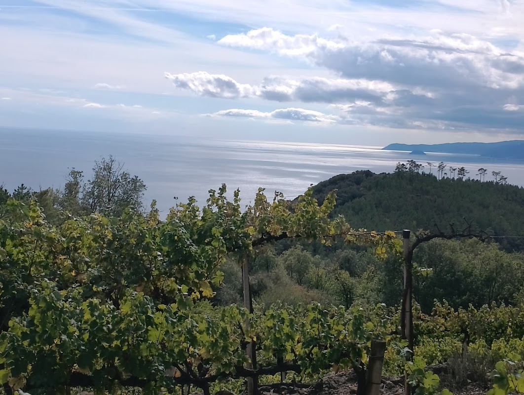 Altopiano de Le Mànie