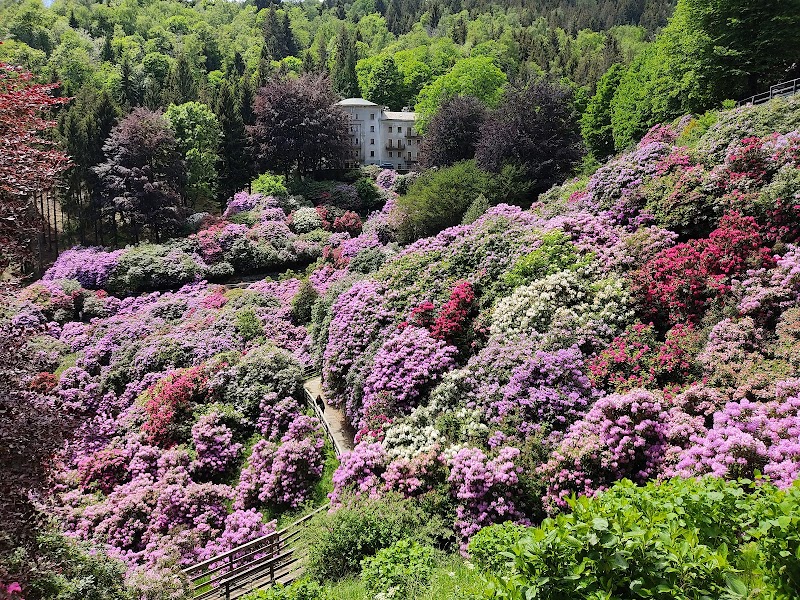 La Conca Dei Rododendri