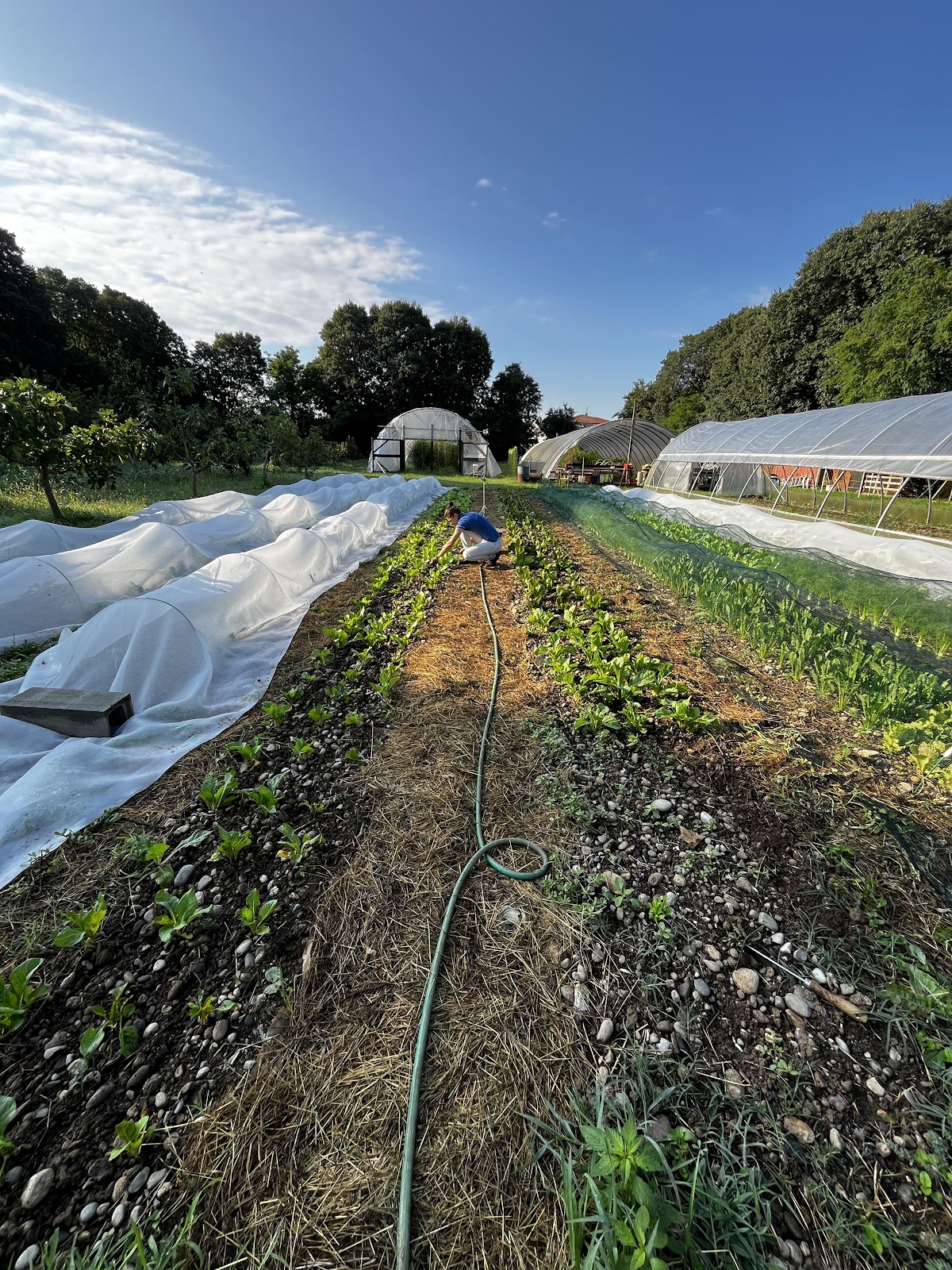 Azienda Agricola "L' Orto che fa la differenza"s.s — Punto di interesse a Bergamo, Bergamo