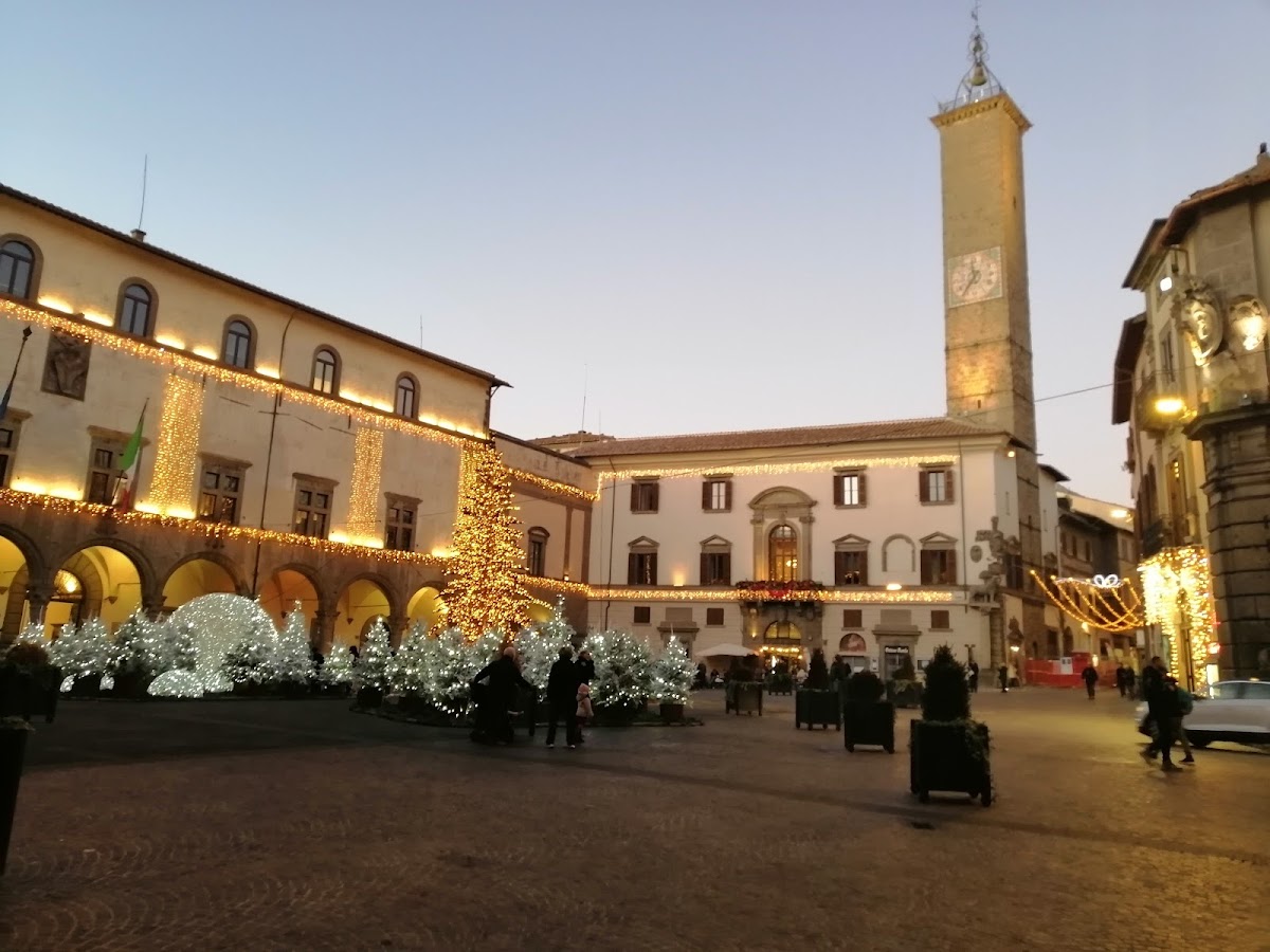 Piazza del Plebiscito — Punto di interesse a Viterbo, Viterbo