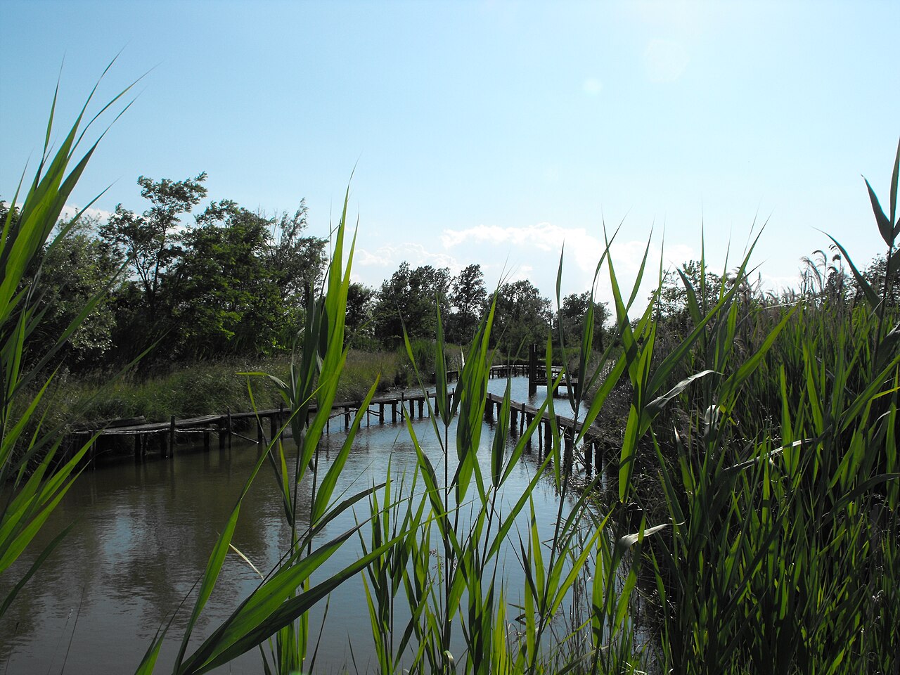 Valle Averto — Punto di interesse , Venezia