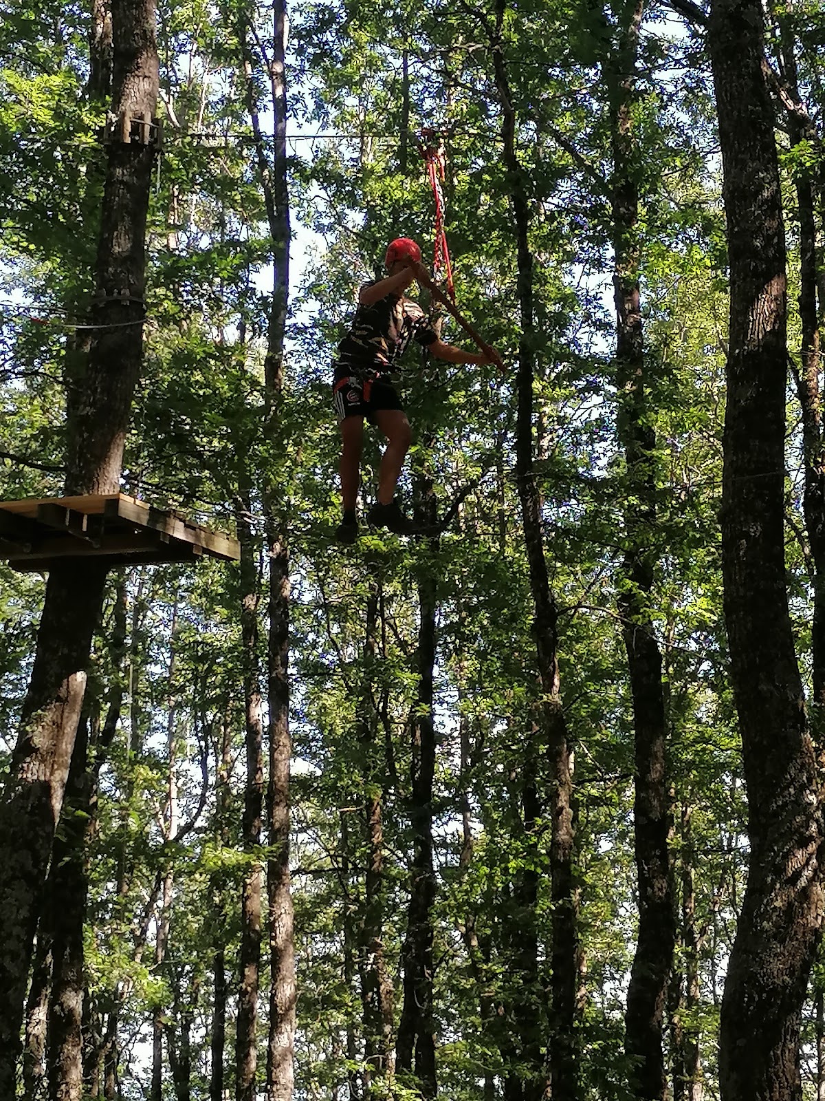 Parco avventura Pollino outdoor park — Ponto de interesse in Melfi, Potenza