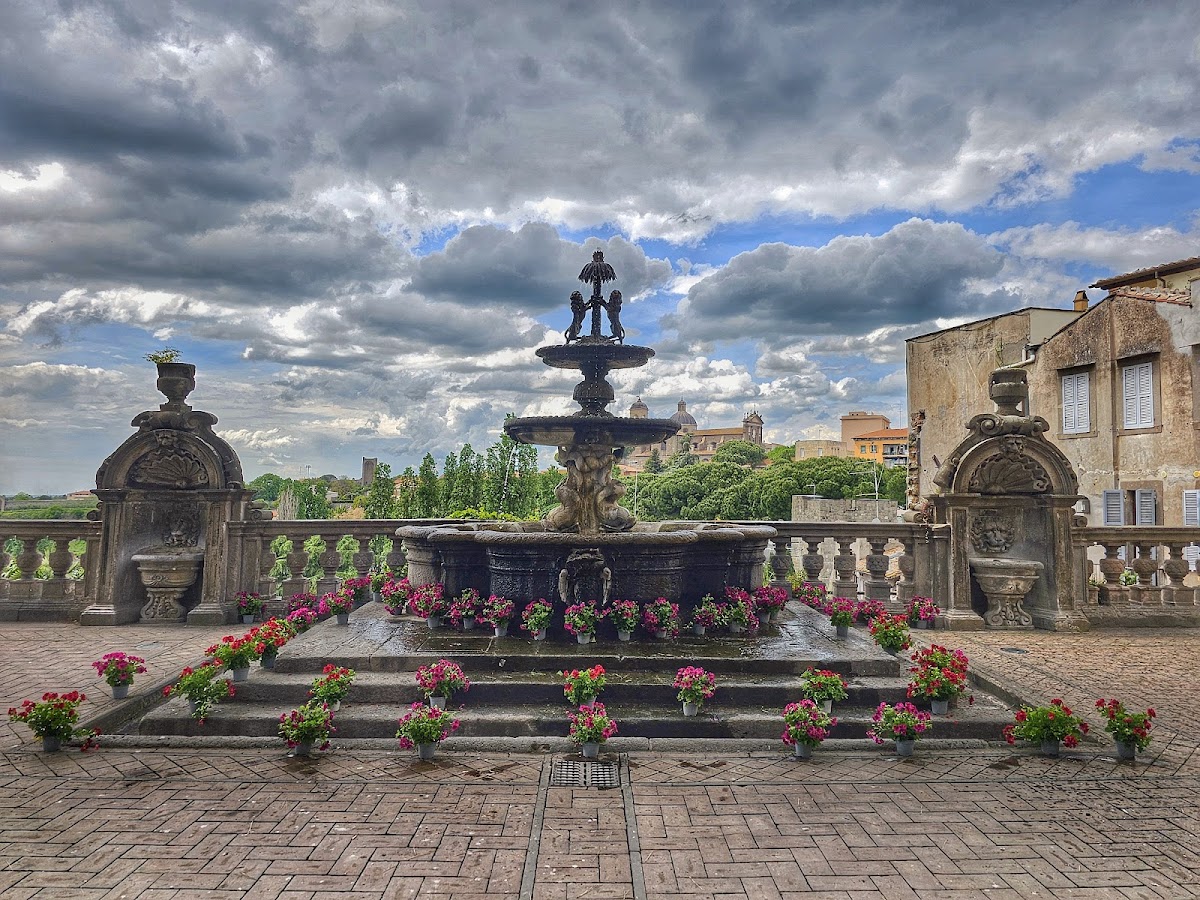 Fontana di Palazzo dei Priori — Punto di interesse a Viterbo, Viterbo