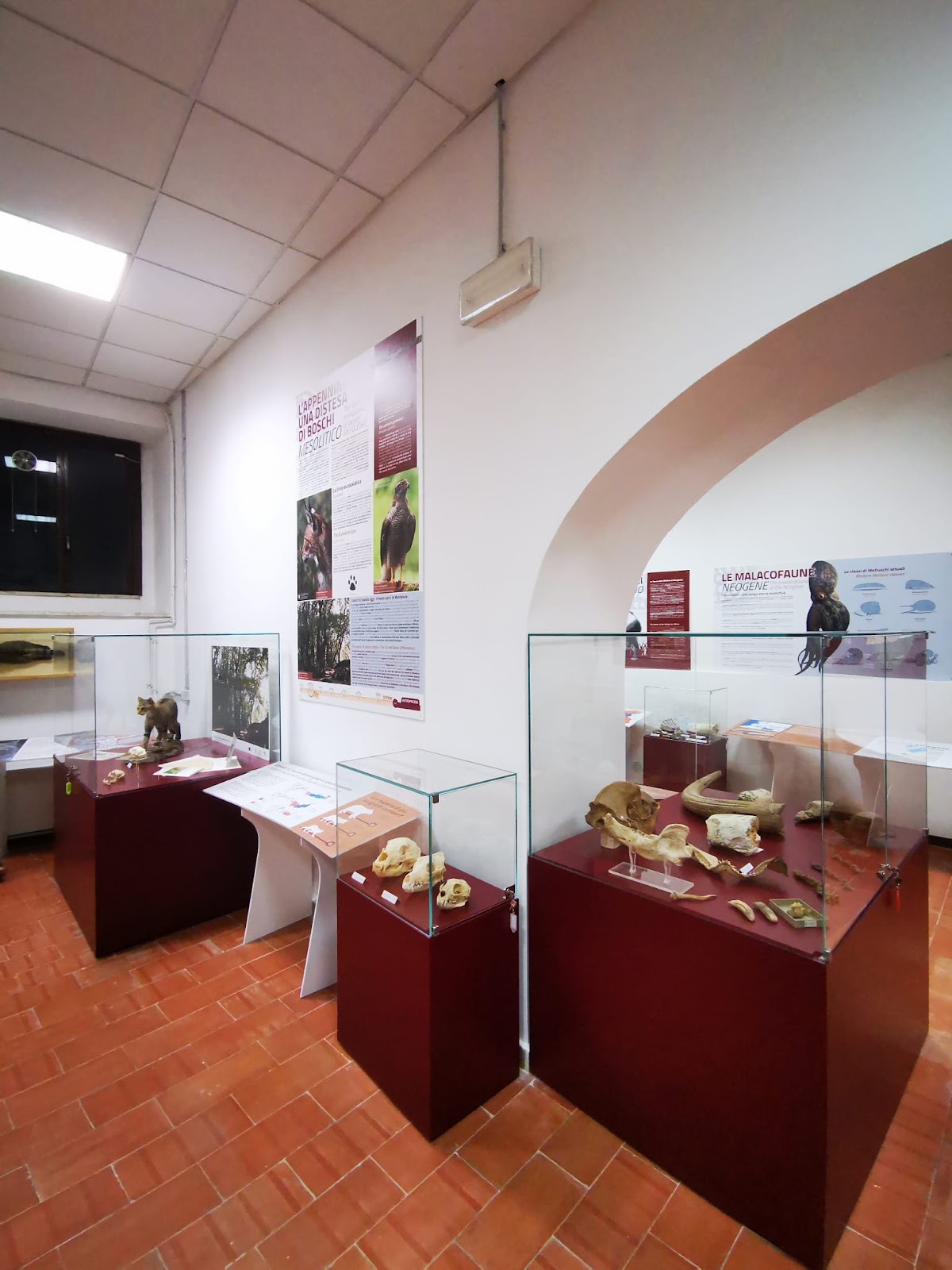 MuST - "Museo delle Scienze e del Territorio"