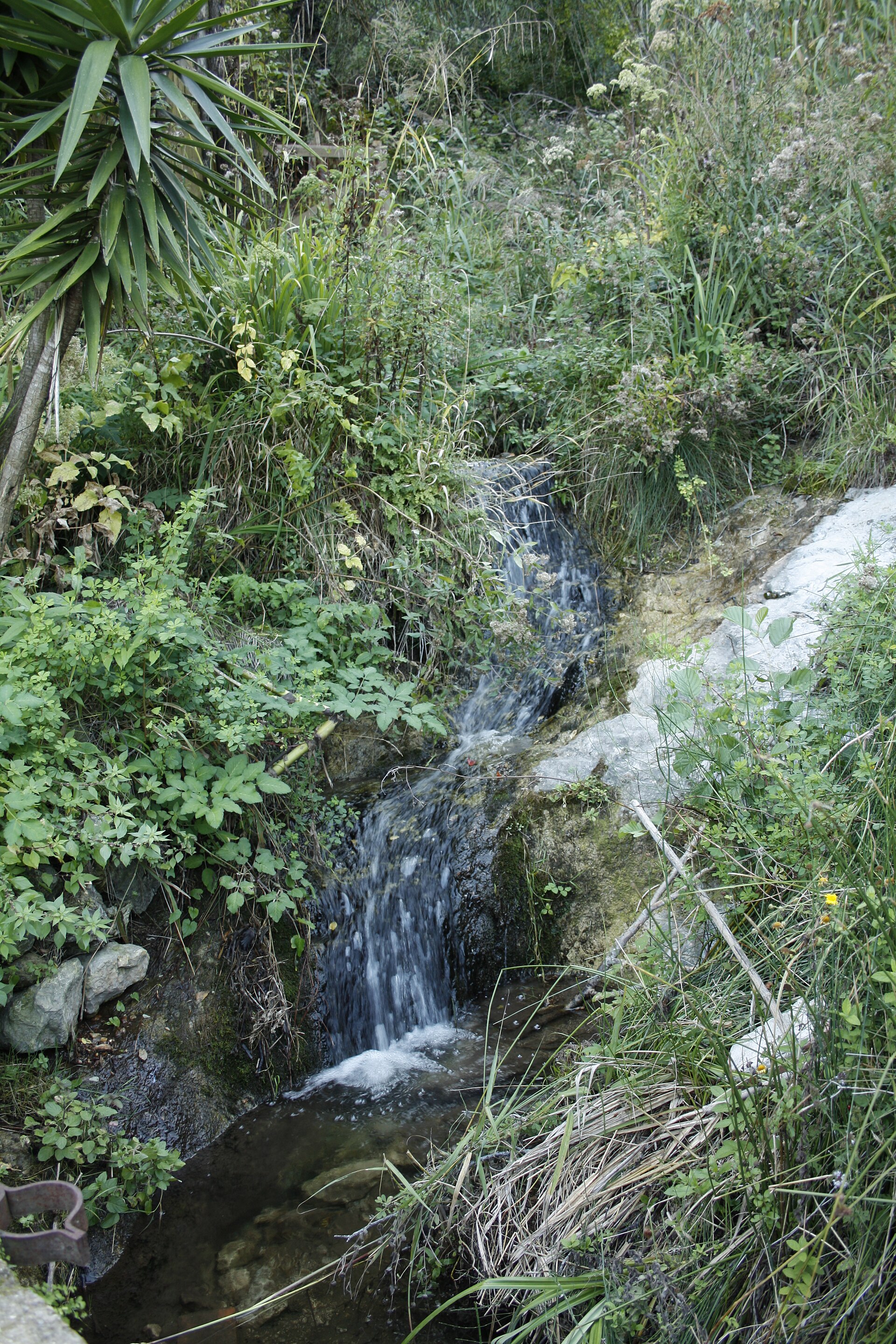 parco Croce — Punto di interesse , Napoli
