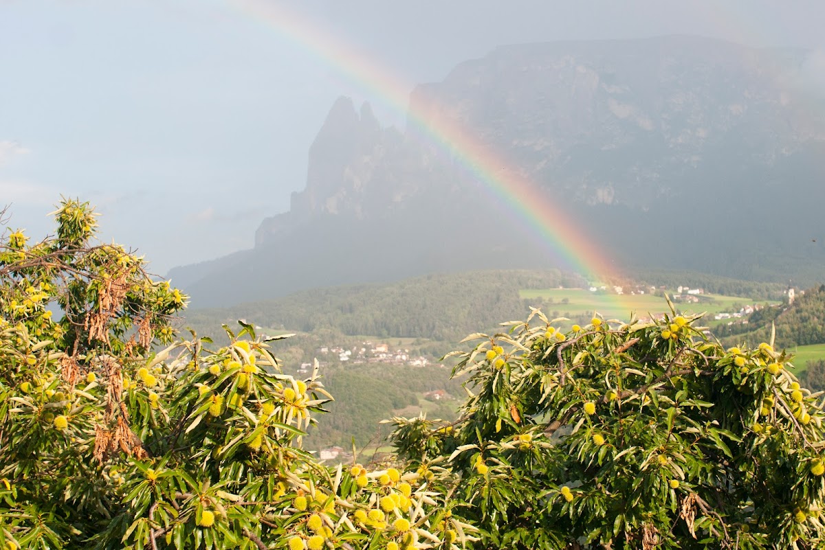 Sentiero del castagno — Punto di interesse a Bolzano, Bolzano