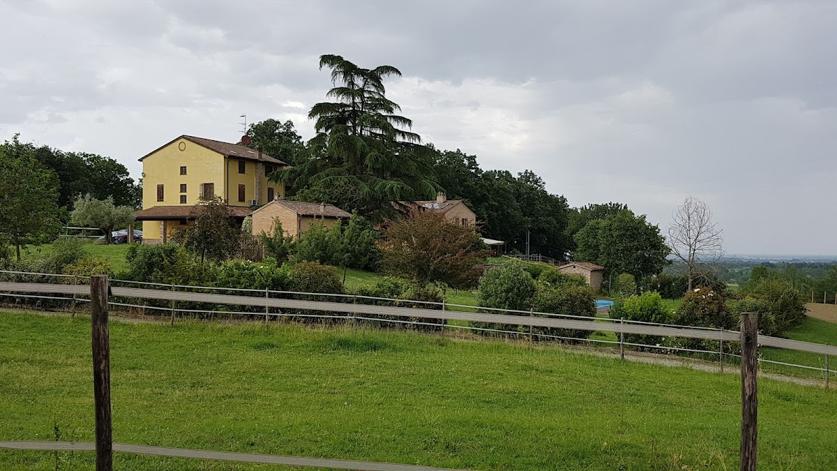 Il Colle del Falco