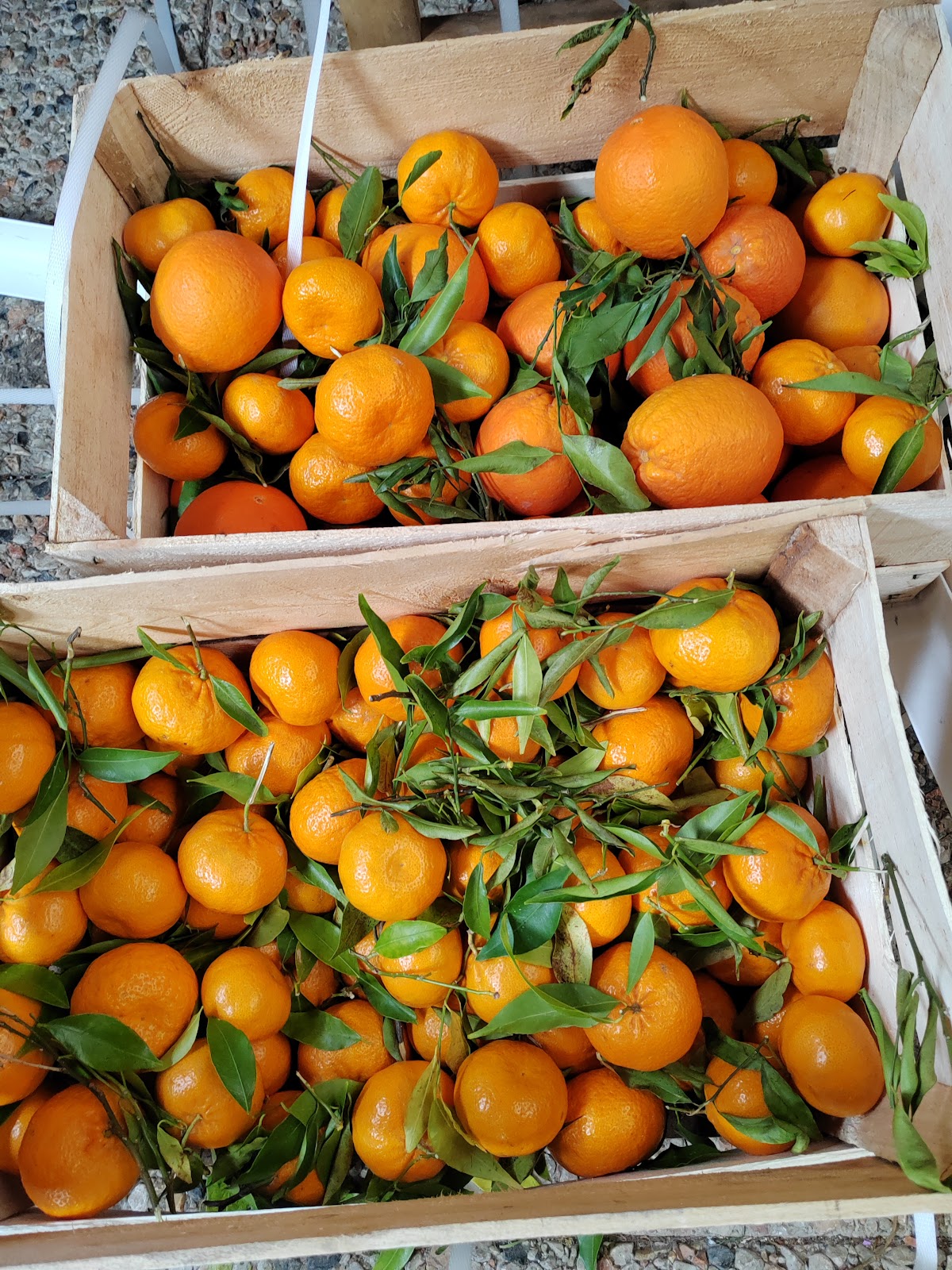 Azienda Agricola Biologica Jalari