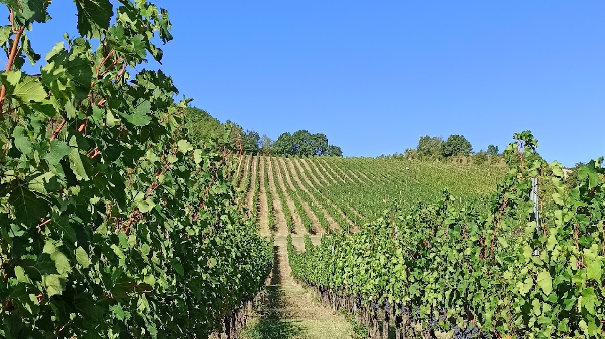 Tenuta Casali