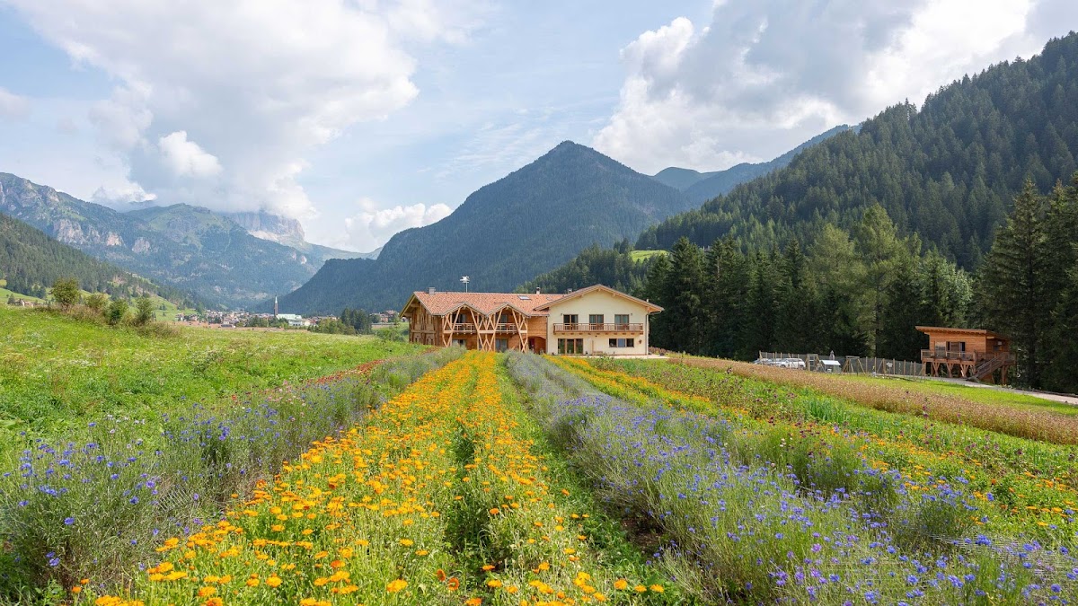 Fiores Eco-Green Agriturismo e Azienda Agricola Biologica — Punto di interesse a Bolzano, Bolzano