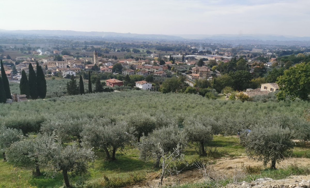 Agriturismo Monte Oliveto