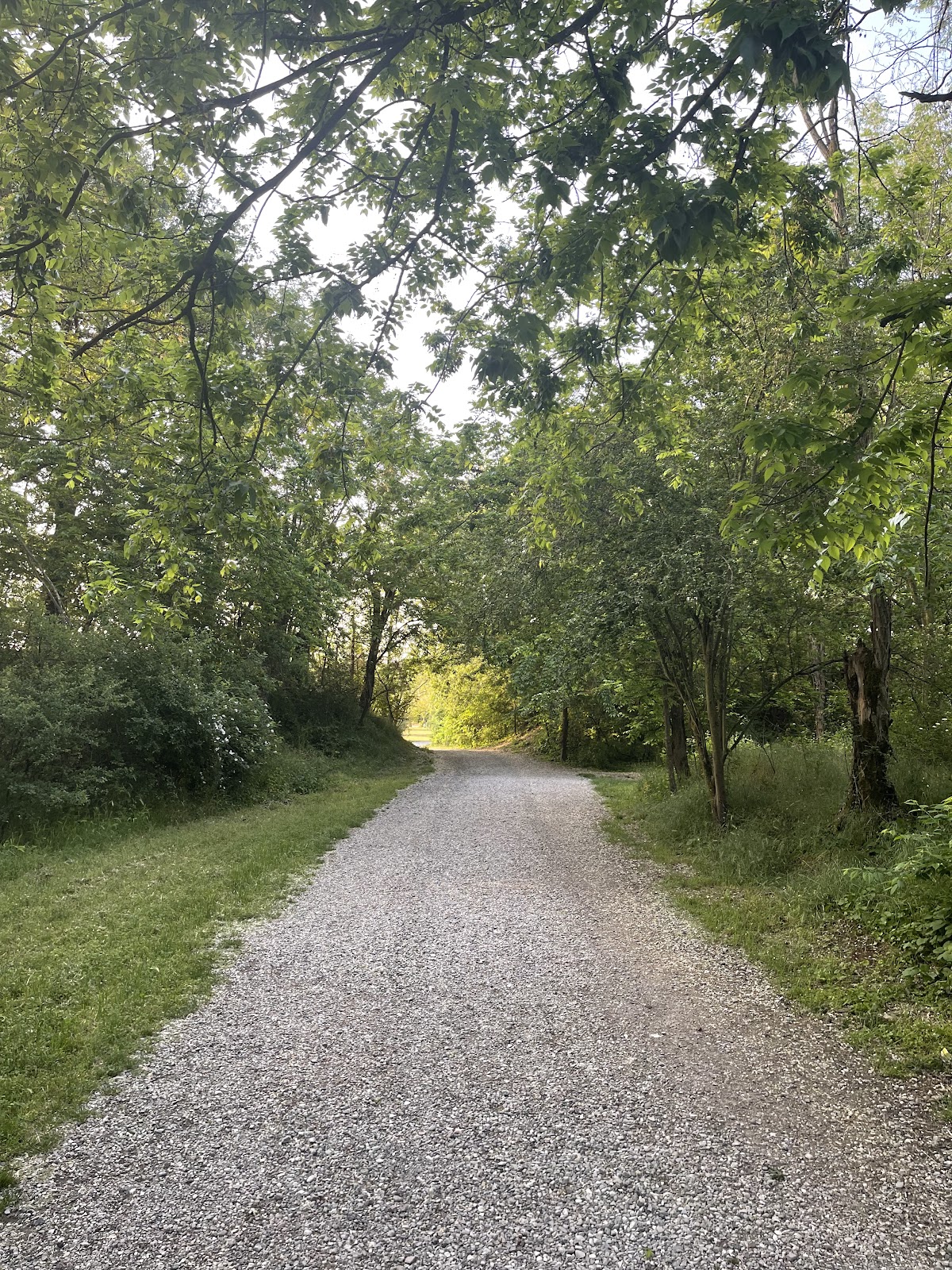 Parco Papa Giovanni Paolo II (Parco della Galleana) — Punto di interesse a Piacenza, Piacenza