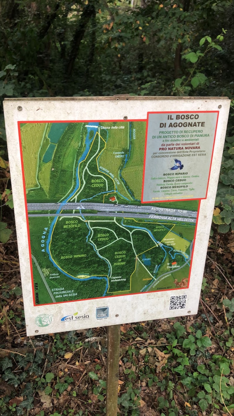 Bosco Est Sesia - Pro Natura Novara