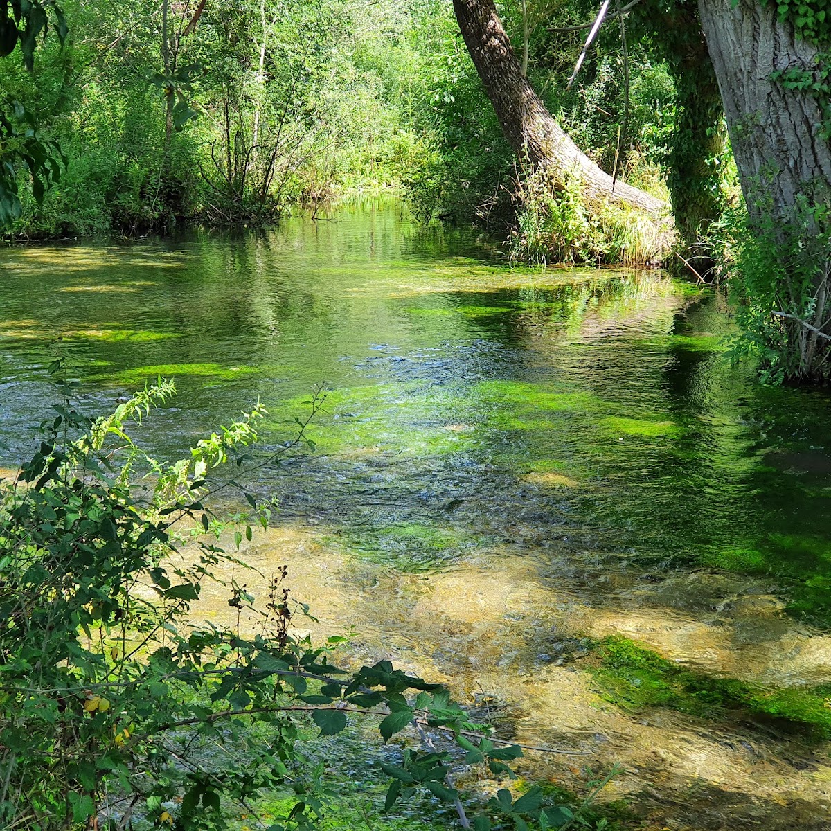 Riserva naturale regionale Sorgenti del Fiume Vera — Punto di interesse a Ascoli Piceno, Ascoli Piceno