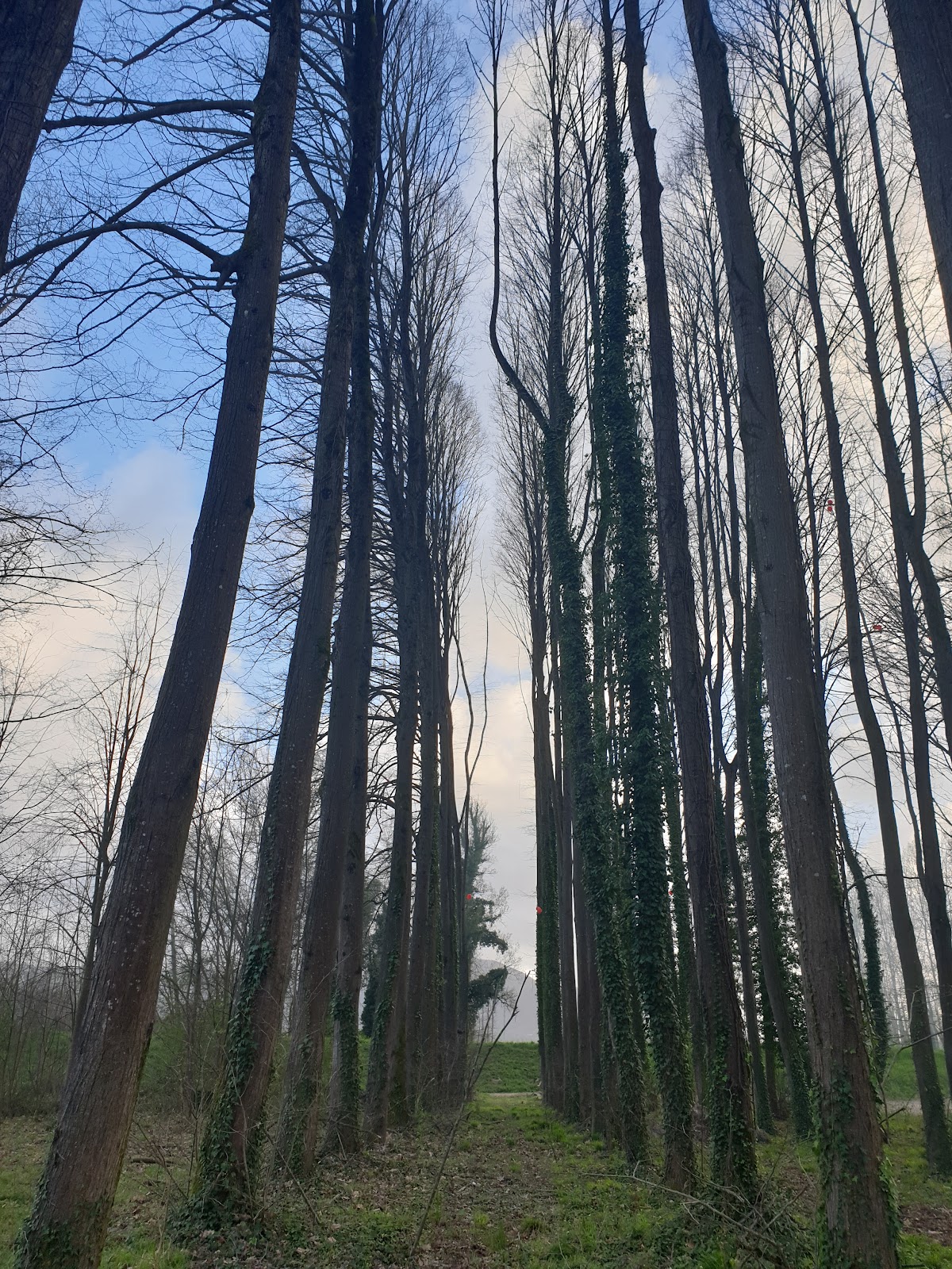 Parco Fluviale del Serchio — Punto di interesse a Lucca, Lucca