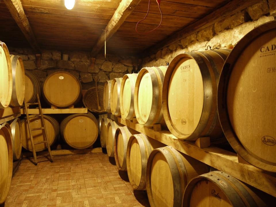 Punto di degustazione e vendita "Sella delle Spine" — Punto di interesse a Avellino, Avellino