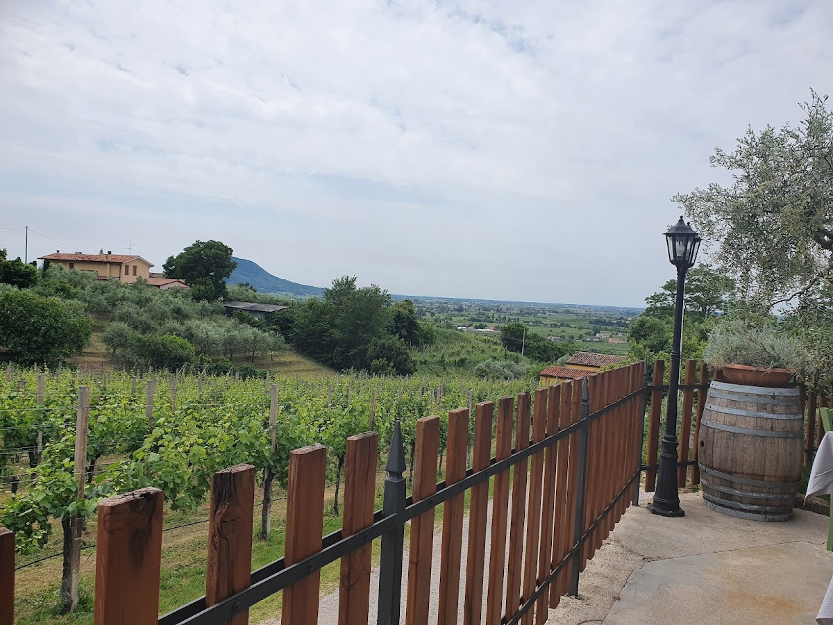 Agriturismo L’Alveare — Punto di interesse a Padova, Padova