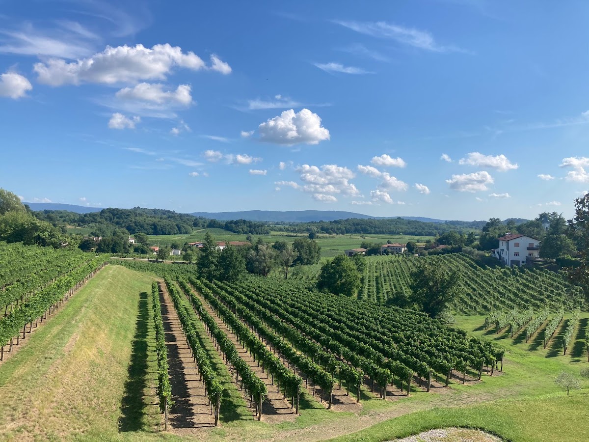Az. Vinicola Skok — Point of interest in Cormons, Gorizia
