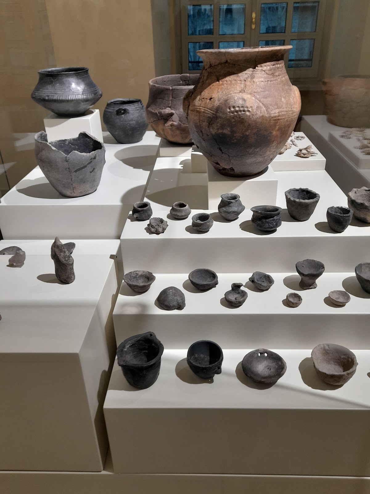 Museo Archeologico Nazionale di Parma — Punto di interesse a Parma, Parma