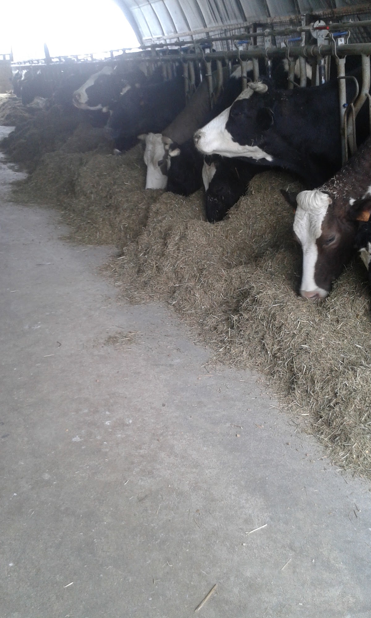 Azienda Agricola Rossi — Punto di interesse a Bergamo, Bergamo