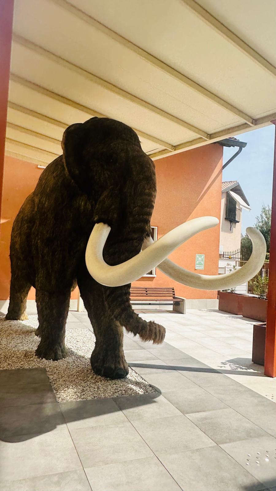 Museo Civico di Storia Naturale "Silvia Zenari"
