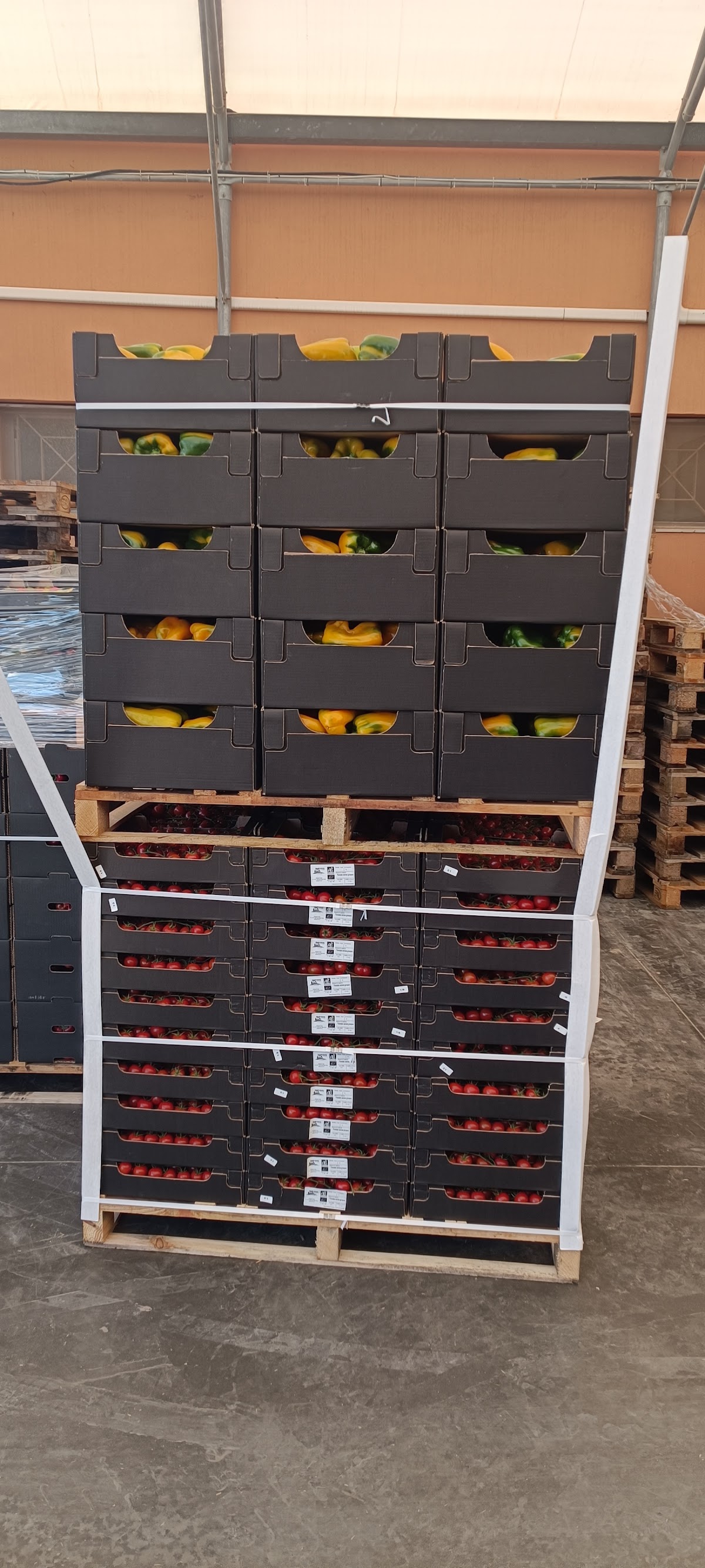 O.P. Alba Bio Soc. Coop. Agricola — Punto di interesse a Ragusa, Ragusa