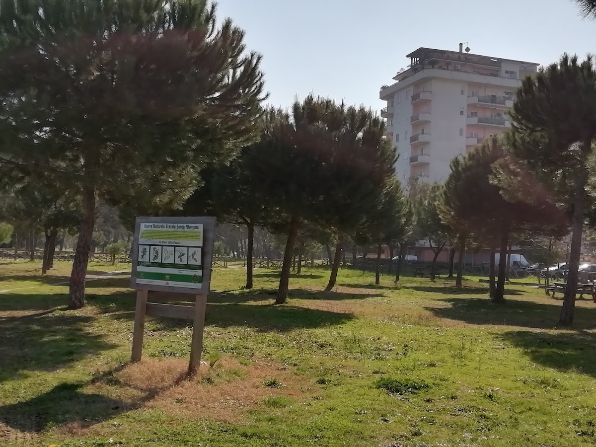 Riserva naturale Pineta di Santa Filomena — Punto di interesse a Pescara, Pescara