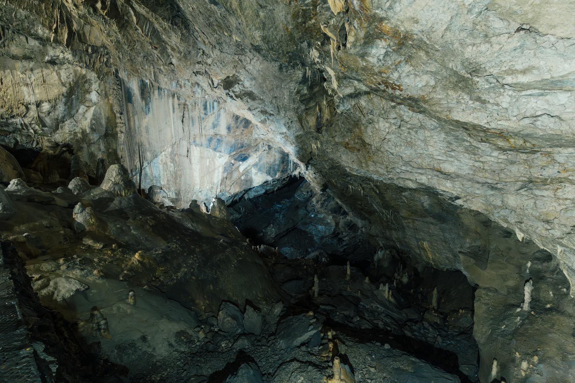 Oasi WWF Cave di Noale — Punto di interesse a Venezia, Venezia