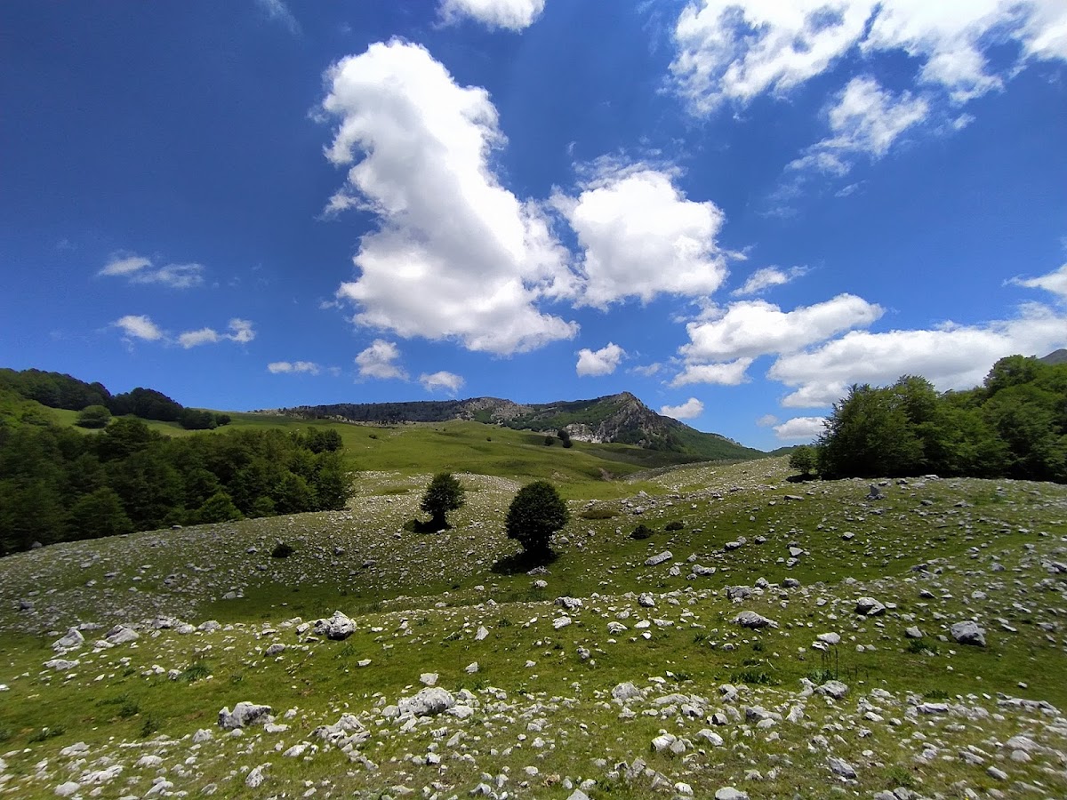 Wilderness attività Outdoor - TREKKING - Ciaspolate - RAFTING Escursioni e GITE Parco Nazionale del POLLINO - Carlo MARSICO
