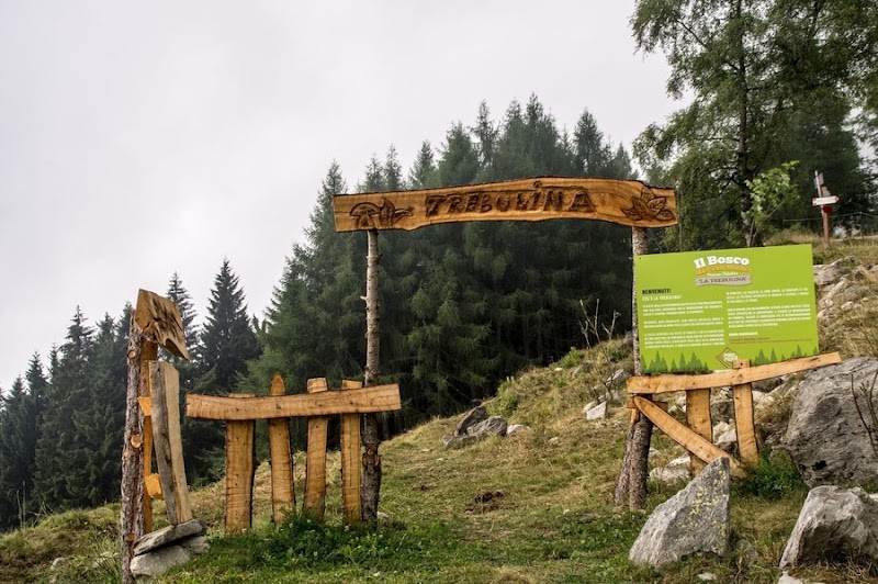La Trebulina