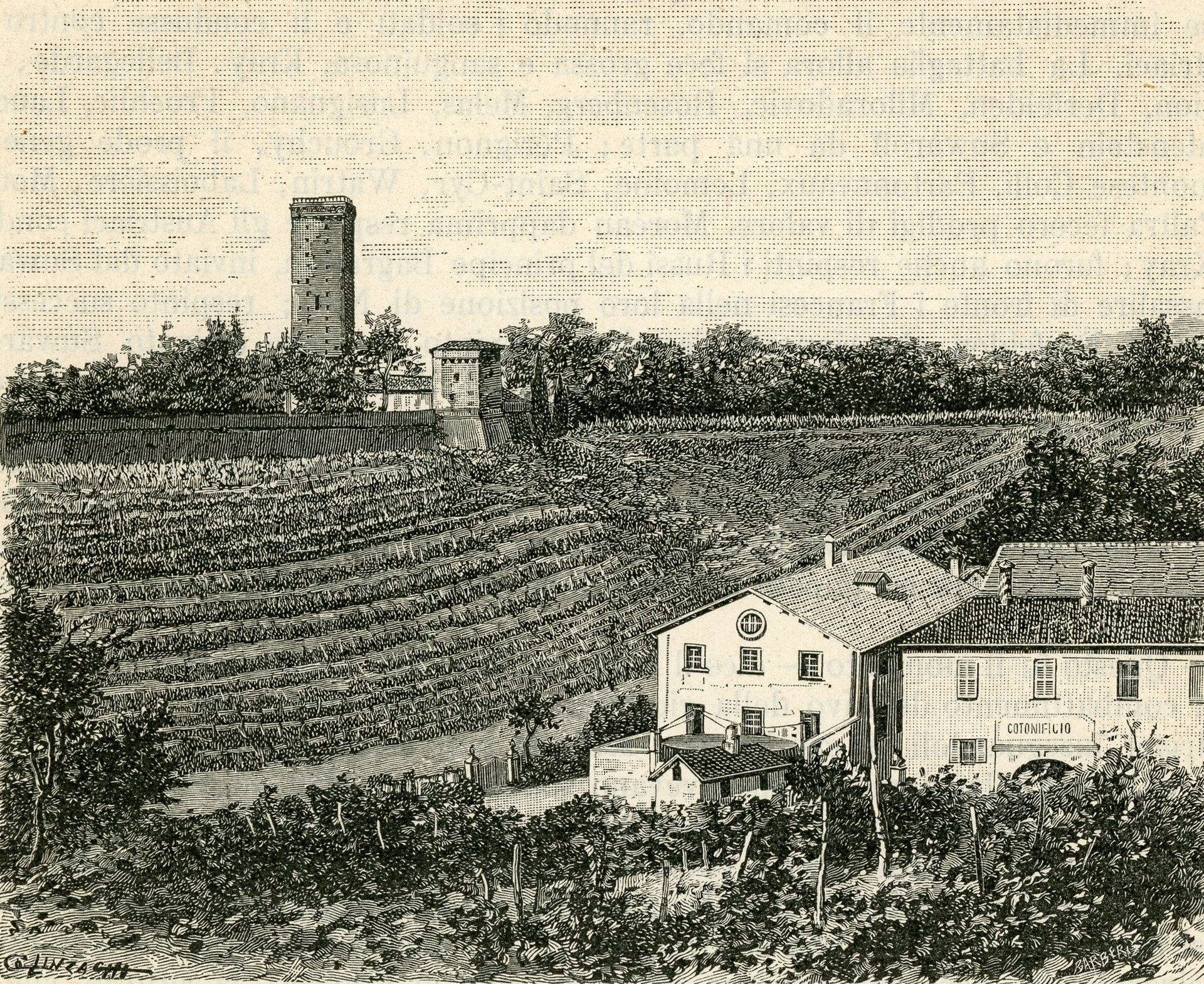 castello di Novi Ligure — Punto di interesse , Torino