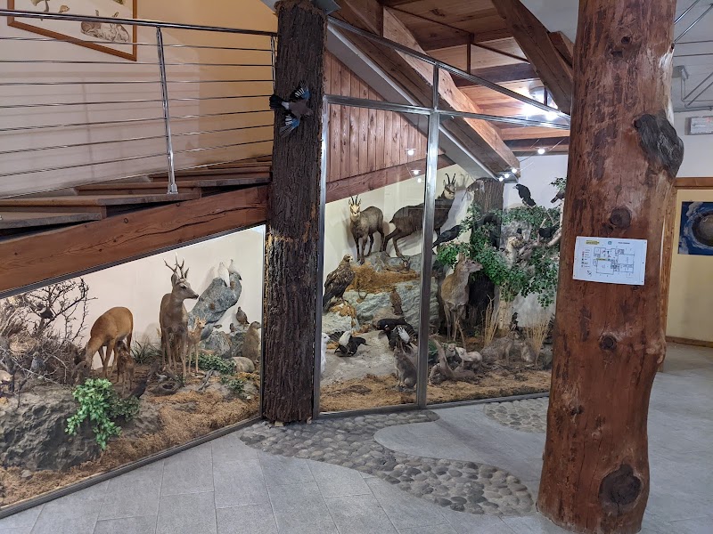 Centro visite Parco naturale del Gran Bosco — Punto di interesse a Sauze d'Oulx, Torino