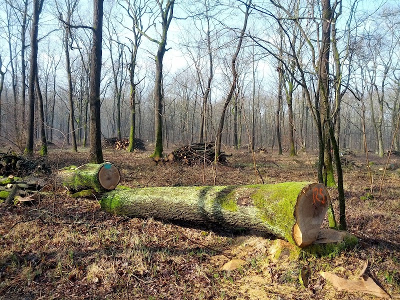 Parco Naturale del Bosco delle Sorti della Partecipanza