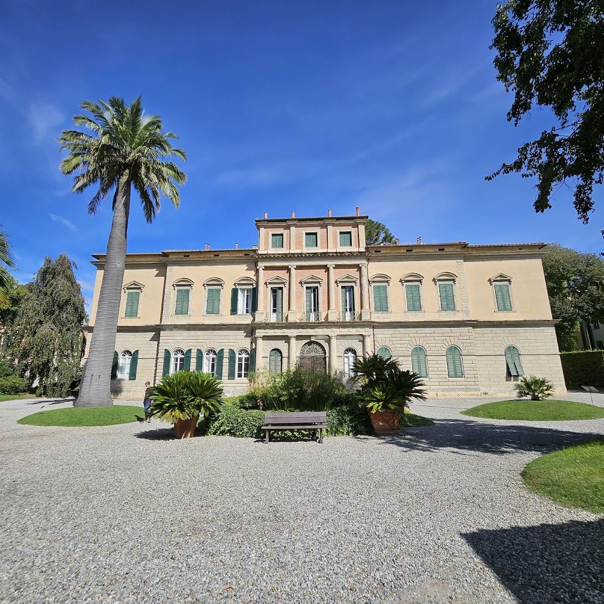 Orto e Museo Botanico — Punto di interesse a Pisa, Pisa