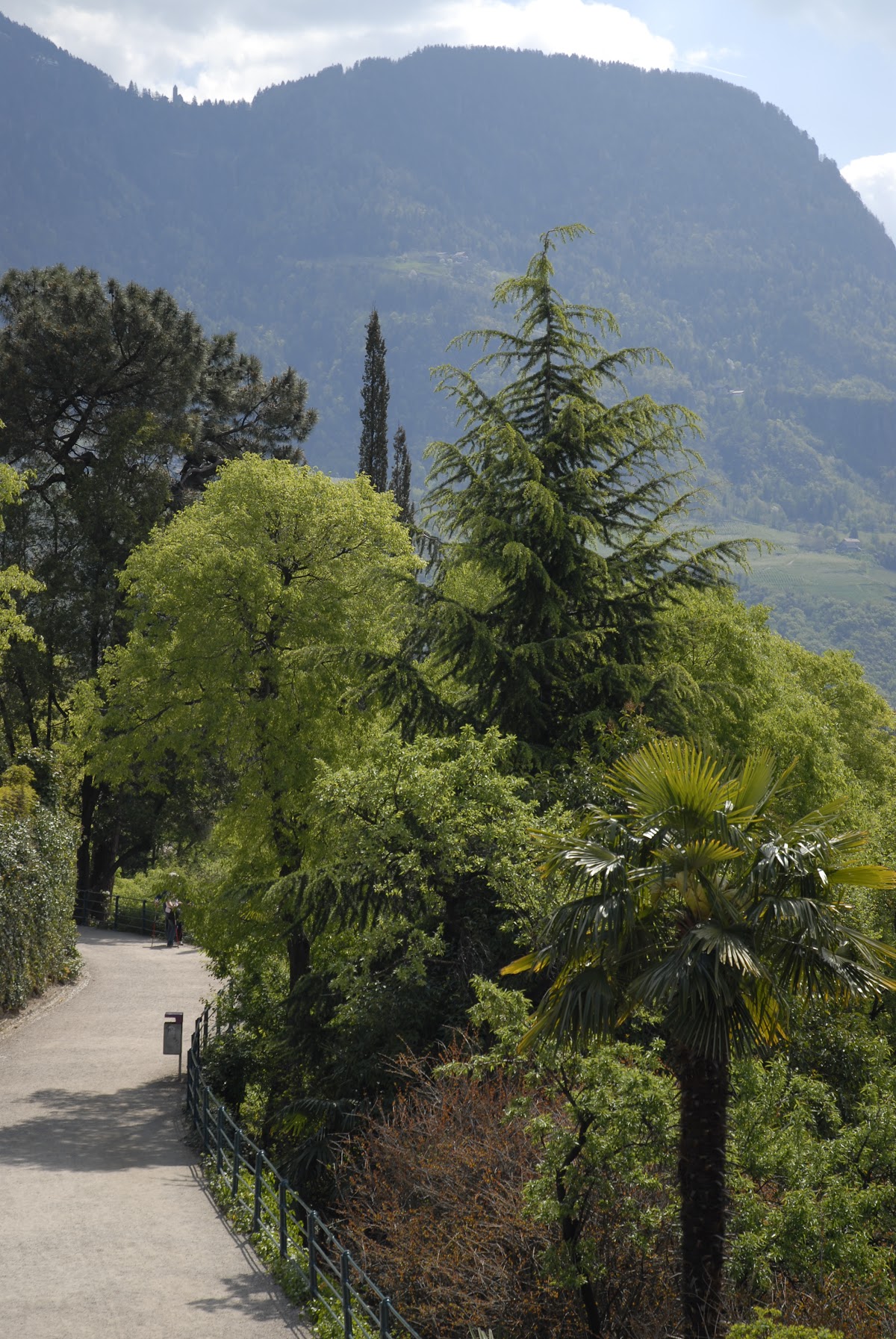 Passeggiata Tappeiner — Bezienswaardigheid in Merano, Bolzano