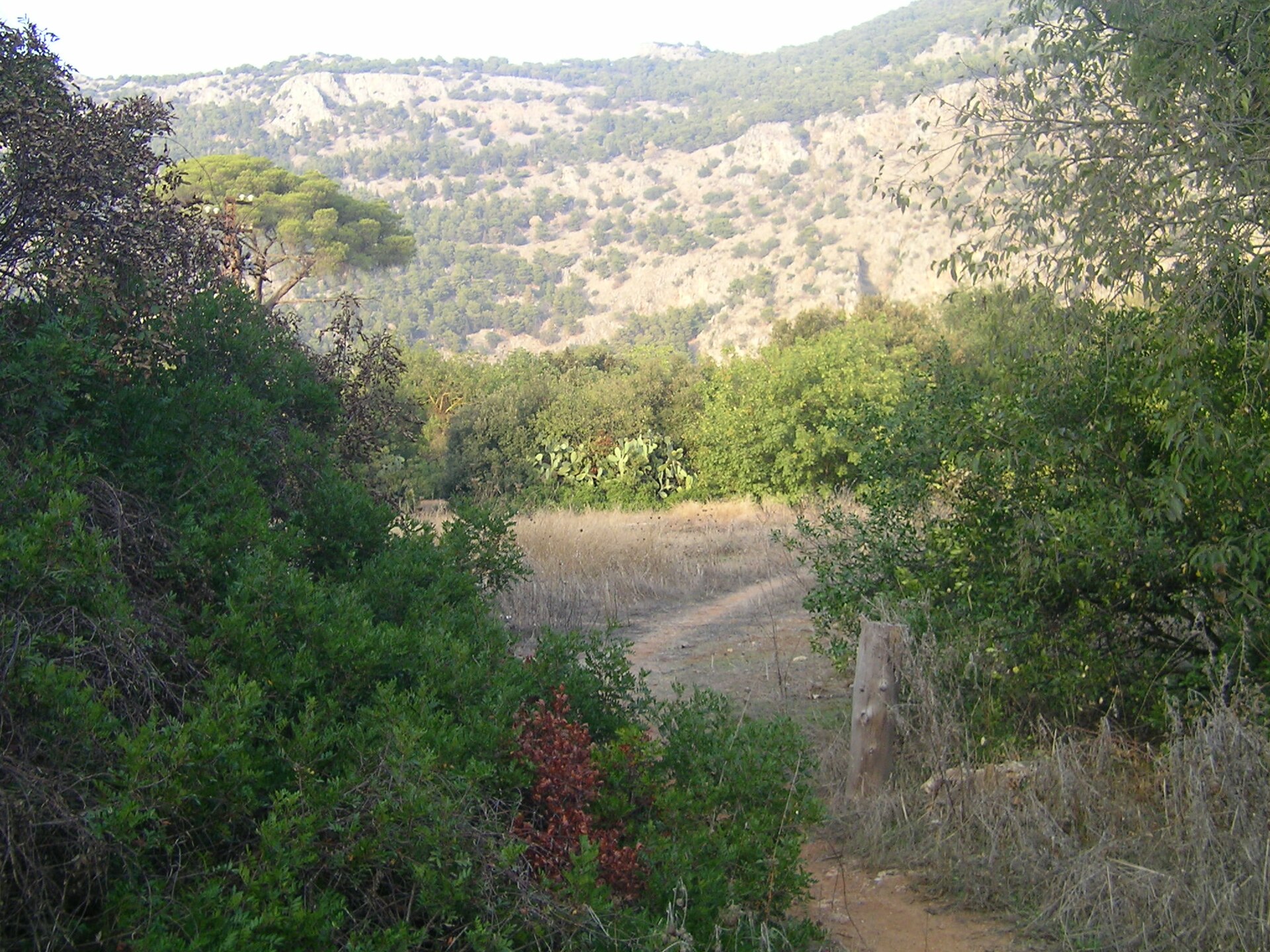 Parco della Favorita — Punto di interesse a Palermo, Palermo